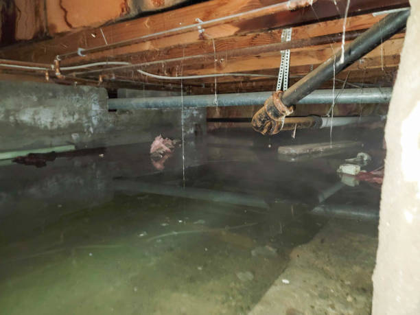 Best Residential water damage restoration  in Gloucester Point, VA
