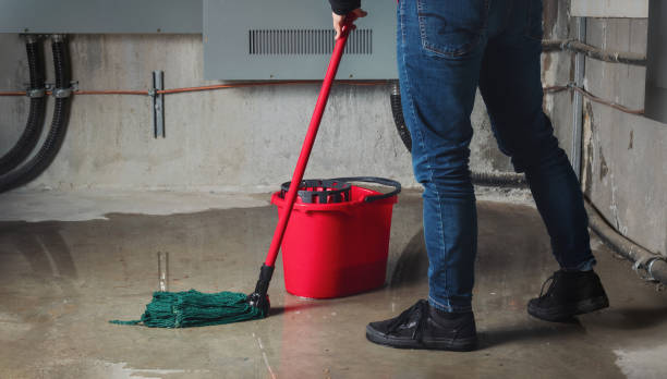 Best Commercial water damage restoration  in Gloucester Point, VA